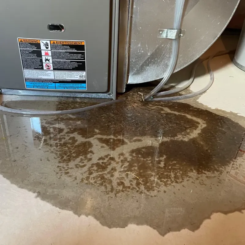 Appliance Leak Cleanup in Jefferson County, WV