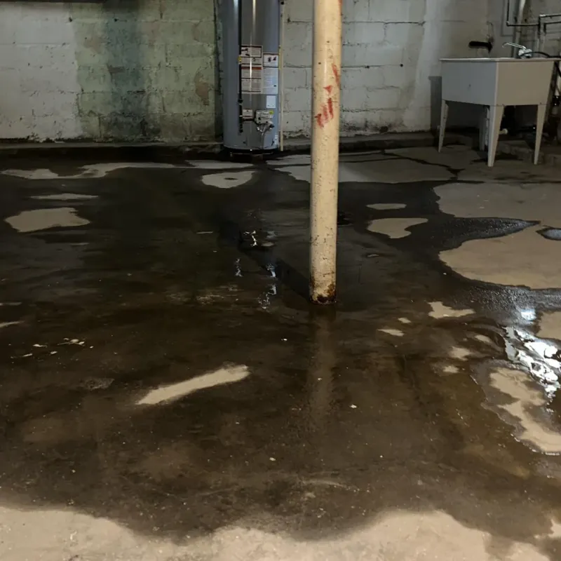 Emergency Water Extraction And Removal in Jefferson County, WV